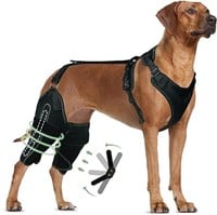 LISPOO Dog Knee Brace for Torn Acl Hind