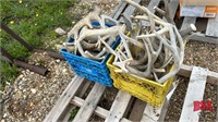 2 Crates of Shed Antlers