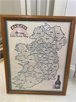 Framed Baileys Irish Name Map