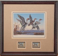 Charles Allen, Colorado Waterfowl Stamp & Art 1992
