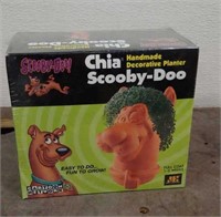 Scooby-Doo Chia in Box
