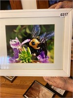 Flower & bee photo