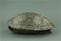 Chinese Archaic Oracle Turtle Shell