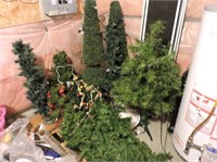 Selection Christmas Trees