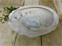 ABALONE SHELL