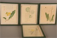 Set of Four Chinese Watercolours,