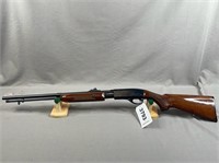 Remington Fieldmaster Pump Model 572, .22 Short,