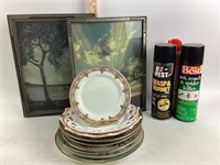 Framed Art (2) Hand Painted Plates Assorted &