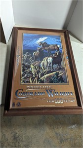 Framed Colorado Wildlife Poster