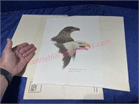 1980 William Zimmerman signed print 11x14