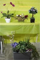 Artificial Plants & Greenery