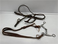 Leather Bridle (2)