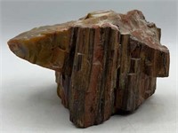 Large Piece Of Petrified Redwood