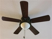 Small Ceiling Fan Lighted