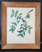 Carl Knuth Original Acrylic Painting Warbler