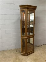 Corner Lighted Modern Curio Cabinet