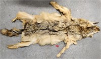 Vtg Alaskan Yukon Wolf Tanned Hide 67"