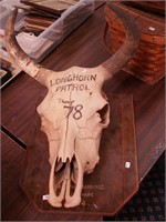 Steer skull mounted on plaque; Longhorn
