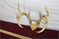 Vintage Antler Decor