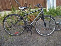 Supercycle Solaris Adult Bike