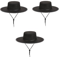 3pk Authentic Party Black Spanish Hat