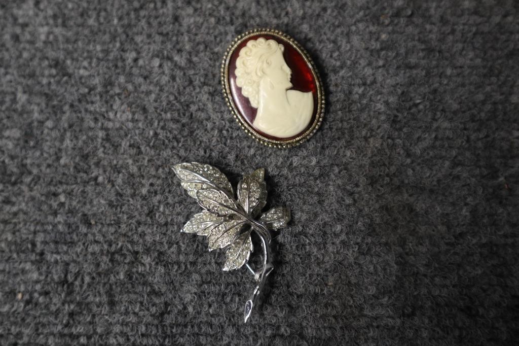 Two Brooches