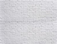 Size (10x8FT)  SJOLOON White Brick Wall Backdrop