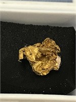 Gold nugget,  .8 grams, a little larger than a ric