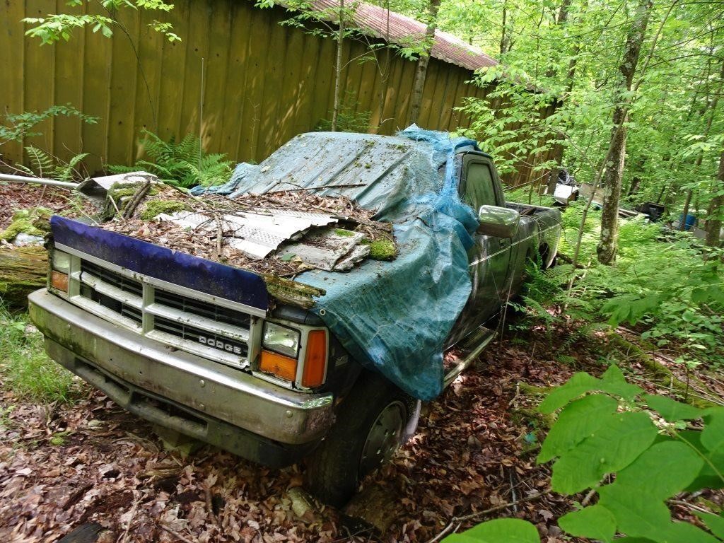 Dodge Dakota Pickup Truck - No Title - Sat for at