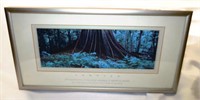 Dorrigo National Park Service Tree Framed Art
