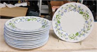12 SHELLEY HAREBELL PATTERN 6IN PLATES SAUCERS