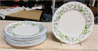 8 SHELLEY HAREBELL PATTERN 7IN PLATES