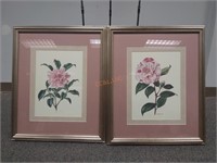 Two Amtrechslin Botanical Framed Flower Prints