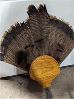 WILD TURKEY FEATHERS