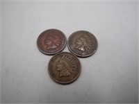 Lot of 3 1906 Indian Head Pennies