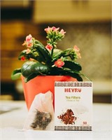 4 BXS - HEYRU Biodegradable Tea Filter Bags 50pcs
