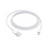 Apple Lightning to USB Cable (1m) ???????