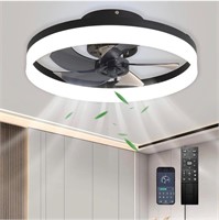 20" Ceiling Fan with Lights Remote Control