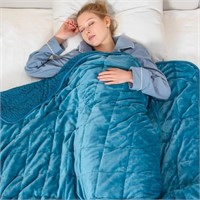 DAILYLIFE Heated Weighted Blanket, Twin