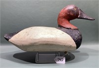 BAILEY MOLTZ CANVASBACK DRAKE