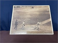 Babe Ruth Baseball picture 14 x 11