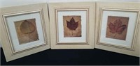 Set of three 11 x 12.5 in matted and framed Leaf
