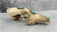 Tibetan Turquoise Encrusted Coyote Skull