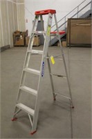 Werner Aluminum 6FT Step Ladder