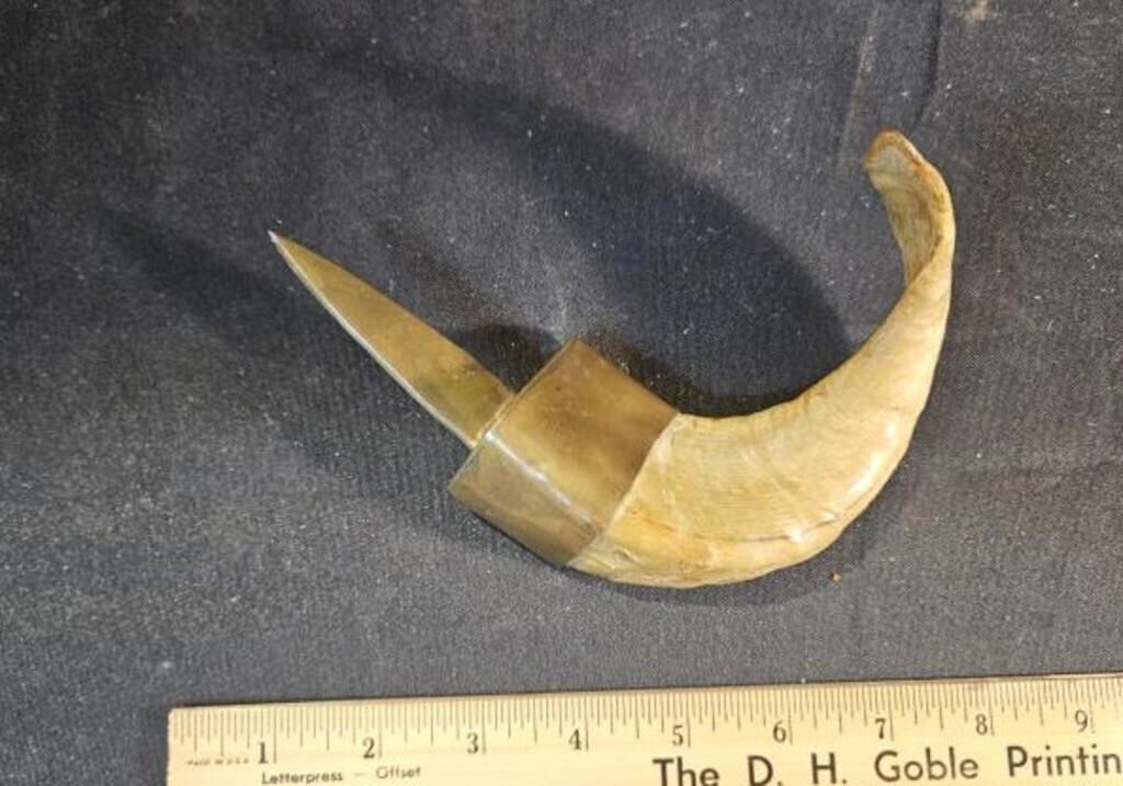 Horn handled brass knife