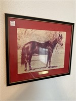 FRAMED WALL HANGING HORSE PHOTOGRAPH "AYRES"