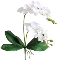 (N) Jasming Artificial Phaleanopsis Flowers Fake O