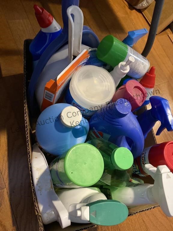 Box of miscellaneous cleaning supplies