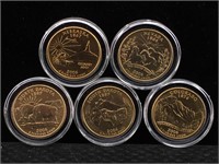 Gold Plated 2006 State Quarter Set