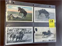Rodeo/Western Postcards